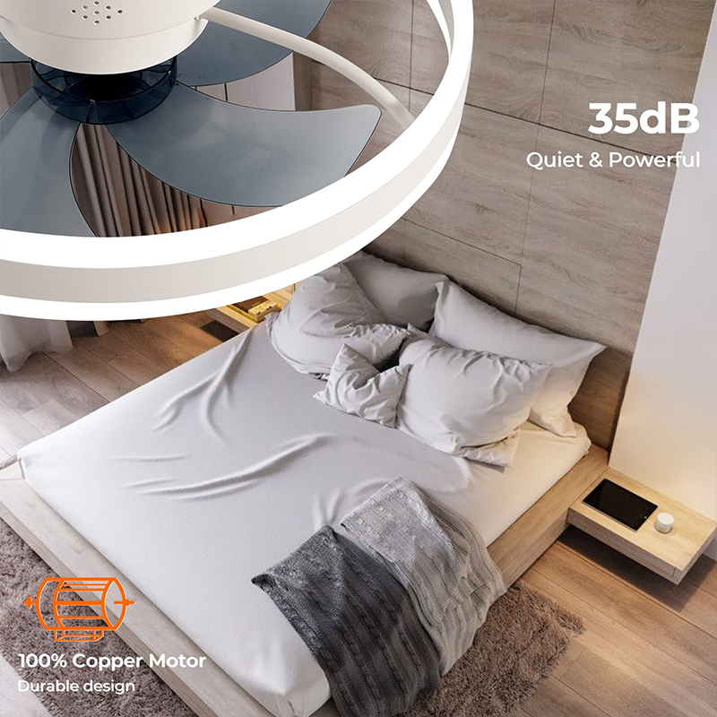 LED-Deckenventilator mit APP-F – Home Decor App Free Bewertung und Preis